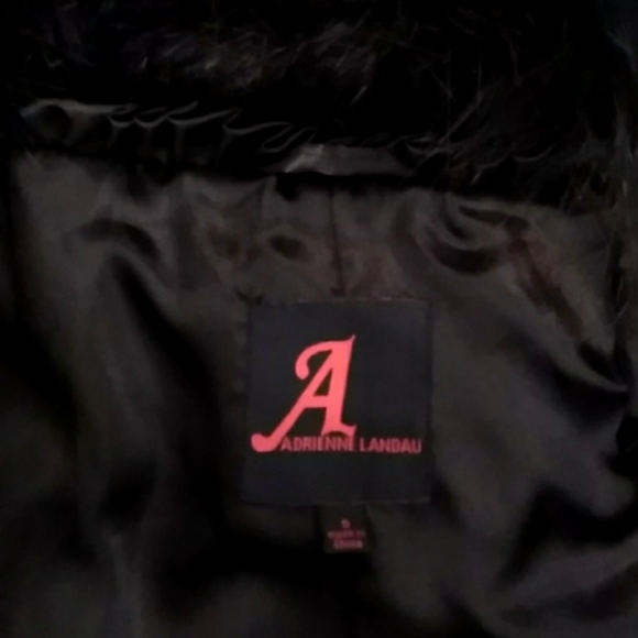 🔹️Adrienne Landau - Picture 7 of 10